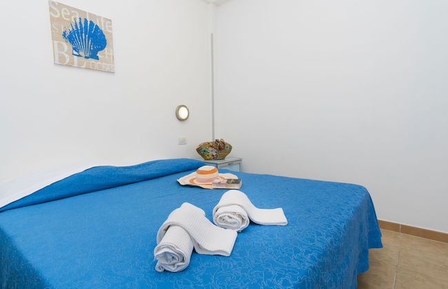 Blue Marine - Photo 5