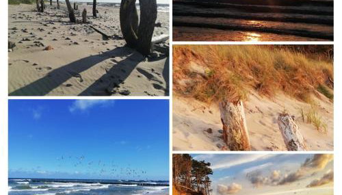 Domki BIAŁA MEWA - Foto 3