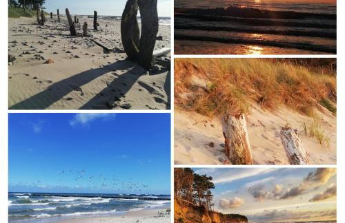 Domki BIAŁA MEWA - Foto 3