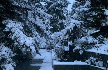 Forest cottage top of the world - Foto 40