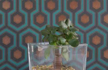 Apartament na Wilczej - Foto 28