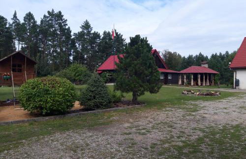 Pokoje w lesie - Foto 16