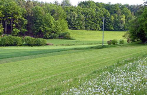 Landurlaub Wittmann - Foto 29