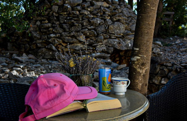 Holiday Home Mystic Woods - Foto 19