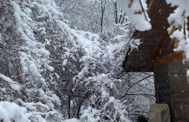 Chalet la Cabane d'Ernestine, petit-déjeuner inclus - Foto 29