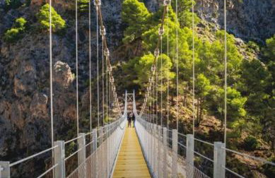 Finca las 3R - Foto 3