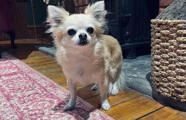 Historic Cottage in the Heart of Old Aberdeen. - Foto 6