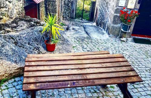 José Domingos - Foto 7