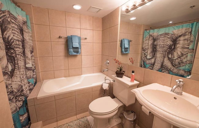 The Easy Spot Downtown Free Parking Elevator - Foto 33