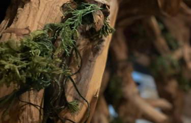 Serengeti Safari Room - Foto 51