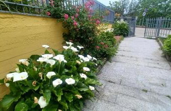 B&B Leonda - Foto 5