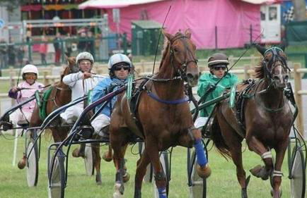 La Maison des Dunes - Foto 16