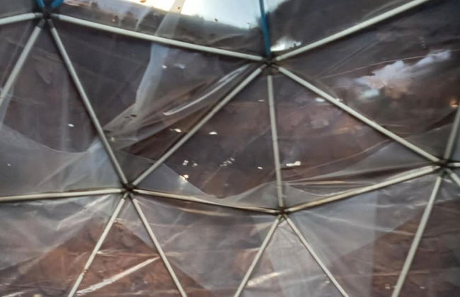 Backpackers Temple - Foto 6