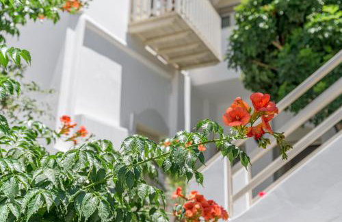 Anastasia's Triovasalos - Foto 39