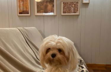 Livata - Campo dell’Osso...nel bosco a 1.700 metri - Photo 12