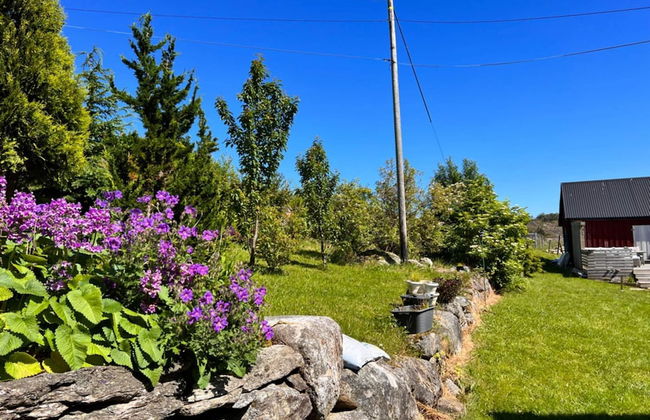 8 Person Holiday Home in Nedstrand - Photo 47