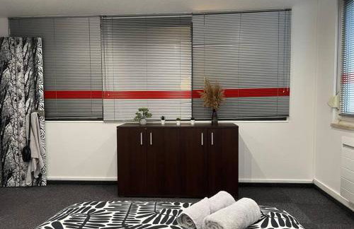 Charmant appartement Strasbourg - Foto 8