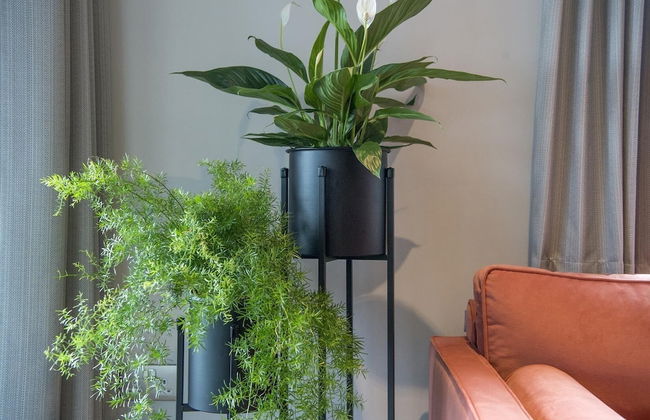 The Quadrant - The Botanical Suite - Foto 36