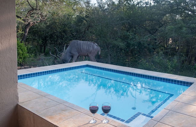 Kruger Cottage - Foto 28
