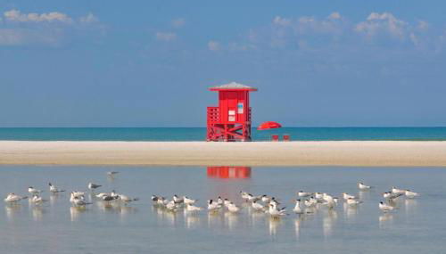 Quiet Cottage Walk to Siesta Key Relax Or WORK - Foto 4