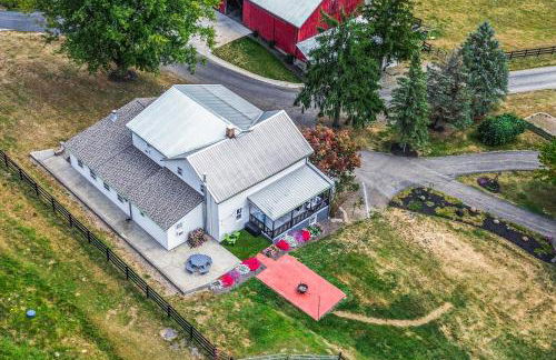 Meet Country Animals! Farmyard Stays Dundee Home - Foto 43