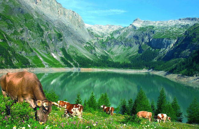 Boutique Apartment in Valais With Balcony - Foto 20