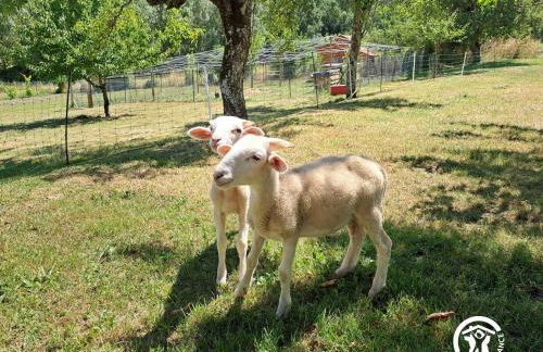 La roulotte du tonnelier - Photo 19