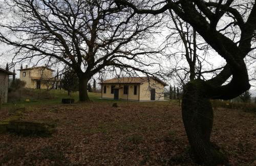 Agriturismo Podere Bianca Maria - Foto 6