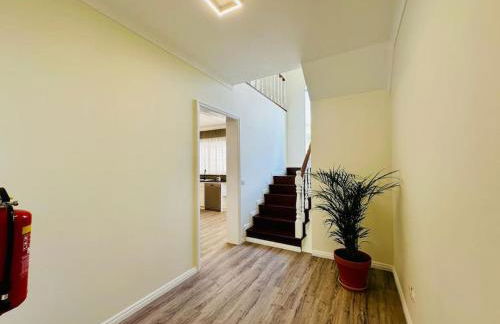 Palm House Azores - Photo 20