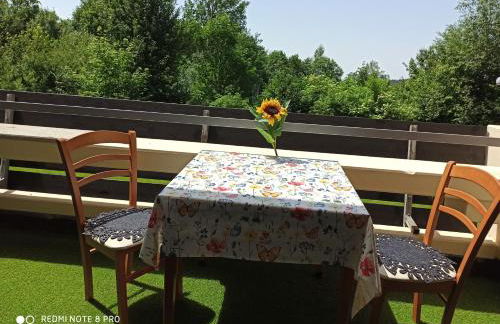 Berghof Studio Haus Rachel mit Pool - Foto 10