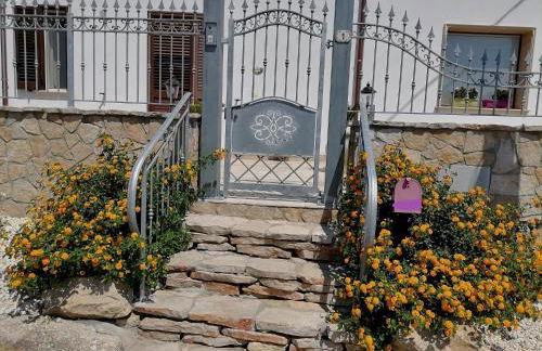 La maiolica - Foto 57