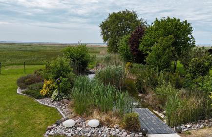 Bungalow Seeblick Am Achterwasser - Foto 29