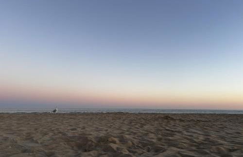 Marina Canela Home - Foto 49