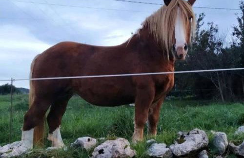 Atico en Ajo Cantabria - Photo 19