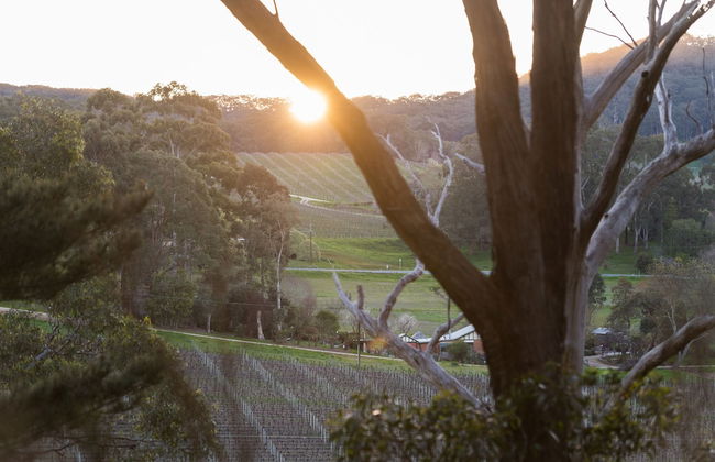 The Other House - Photo 25