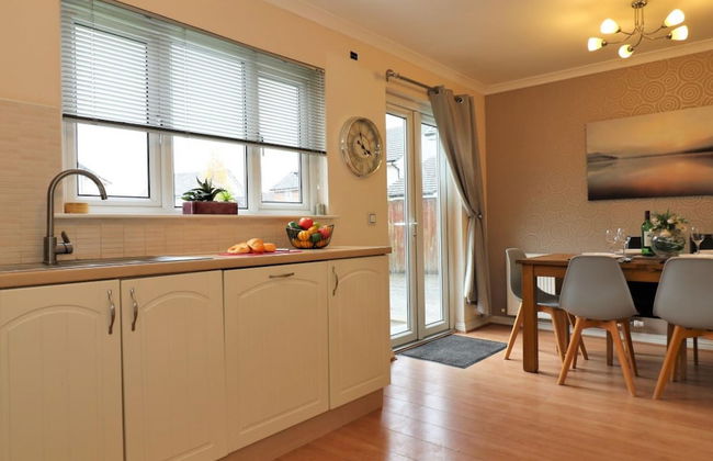 Angus House - Glasgow - Photo 20