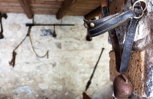 Apartment Casa Rita AP- 1 - Gardasee - by Interhome - Photo 42