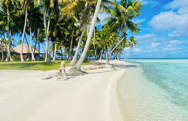 Motu Fara Private Island - Photo 59