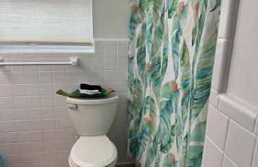 Blue Cypress - Foto 12