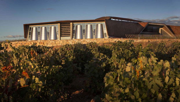 Vigneti delle cantine Portia