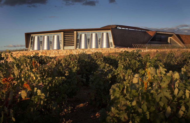 Portia Wine Cellar Tour - Photo 1