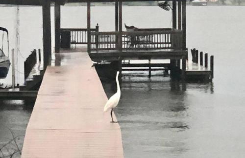 Drake on the Lake - False River, LA - Foto 38