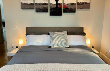 Upscale Modern Hill Country Home! Has it ALL! - Foto 63