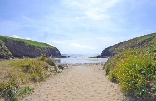 Nolton Haven - Giddy Puffin - Foto 12