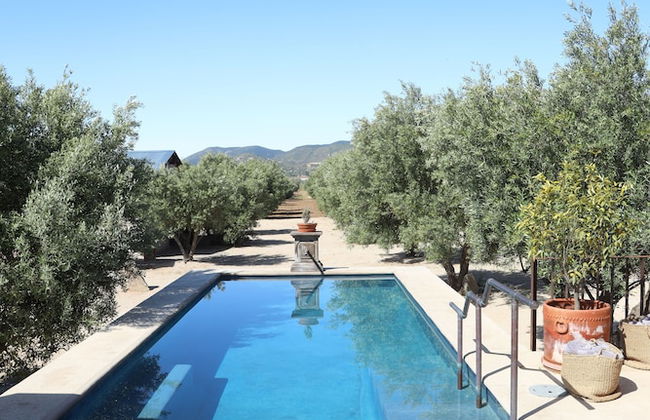 Alma Liebre Viñedos del Valle - Foto 42