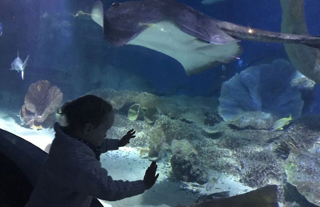 StayCentral - Spacious Seaviews - Foto 13