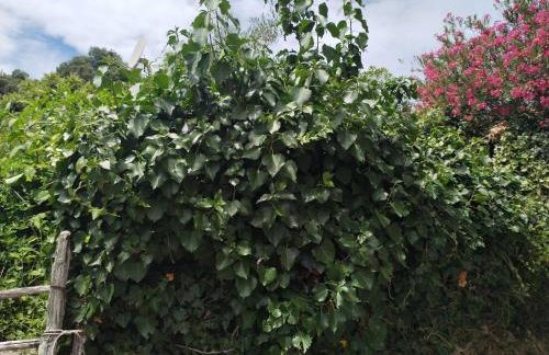 Apartments Nevija - Foto 40