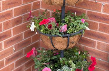 Gorgeous Sandpiper Mews - Foto 17