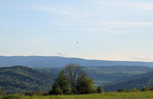 Michałówka Michaelhof - Foto 55