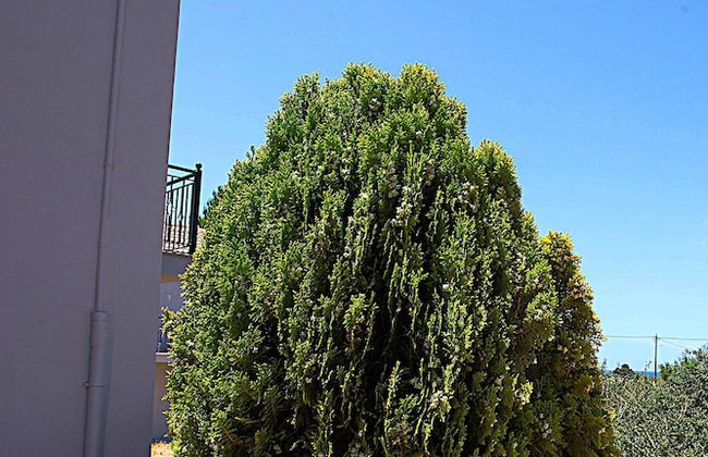 Romanos Beach Villas - Photo 59